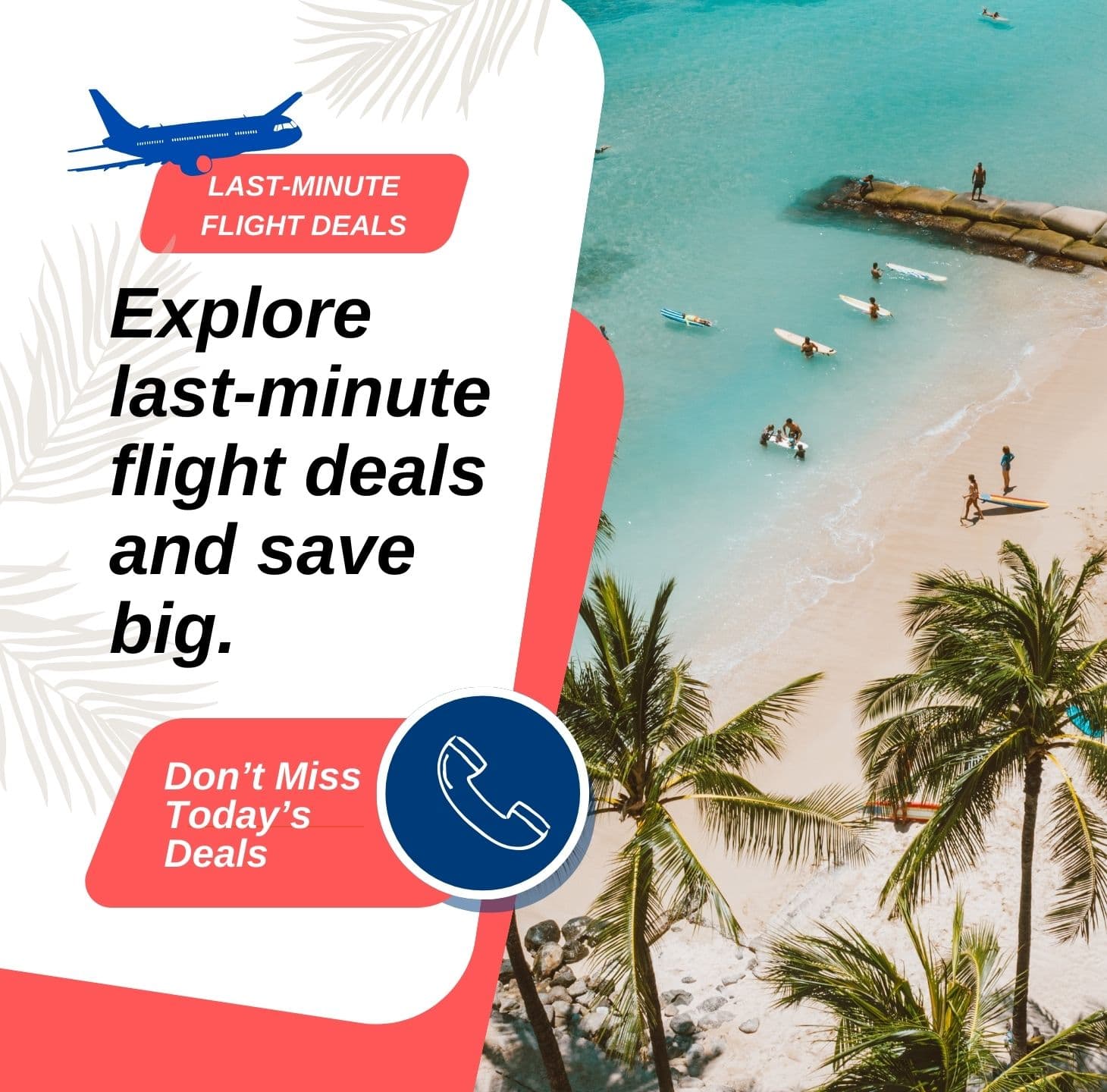 Exclusive flight deals and offers